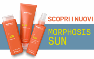 NEW Morphosis Sun