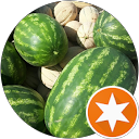 valentina ranieri valentina ranieri